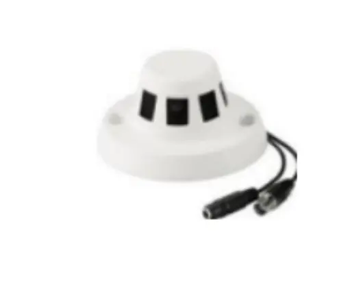 Rookmelder camera 2 in 1